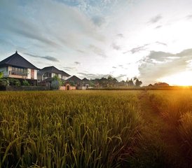 43 Day Gentle Reset Private Wellness Retreat in Bali, Indonesia - Photo 1