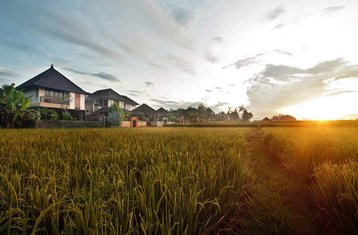 3 Tage Sanftes Reset Private Wellness Retreat in Bali, Indonesien