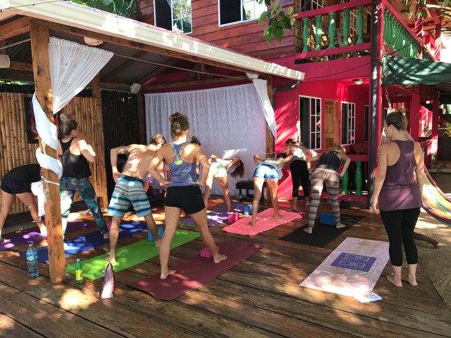 31 Days Basic Massage And 200 Hour Yoga Teacher Training In Puerto Plata Dominican Republic