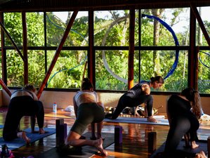 21 Day Rainforest Yoga Retreat in El Castillo, Costa Rica