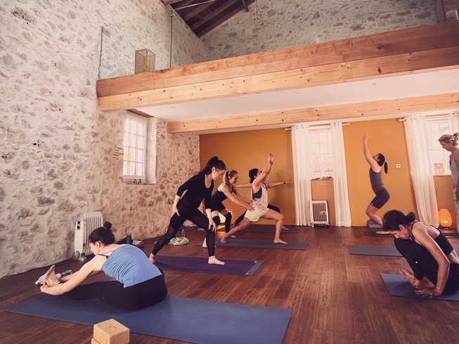 Mysore Style: Making Ashtanga Yoga More Therapeutic l Yoga Therapy Link