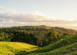 Palmerston North Retreats & Trips