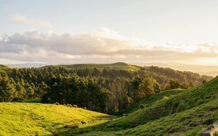 Palmerston North Retreats und Reisen