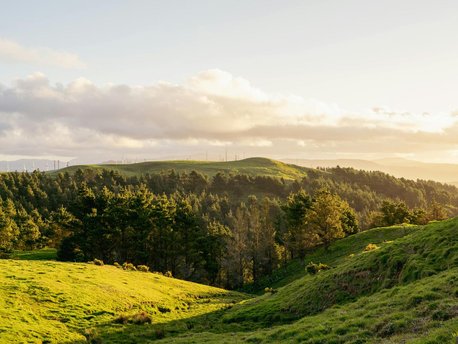 Palmerston North