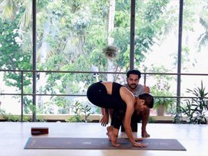 15 Day 100-Hour Yoga Teacher Training Course With Ayurveda in Kerala, India