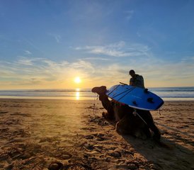 8 días de campamento de surf para todos los niveles en Sidi Kaouki, Marruecos - Photo 4