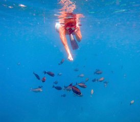 46 jours en stage de yoga et snorkeling sur l’île de Lembongan, Indonésie - Photo 1