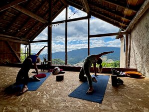 7 jours en stage de yoga en pleine nature "Féminin Sauvage" dans les Vosges, France