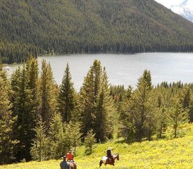 5 Day Wildlife Tracking and Conservation Horse Riding Tour in Canada - Photo 5