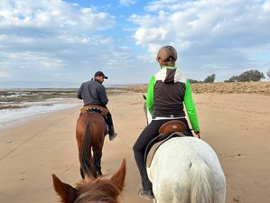 2 Tage Into the Wild Reiturlaub: Trail entlang der Atlantikküste von Sidi Kaouki, Marokko