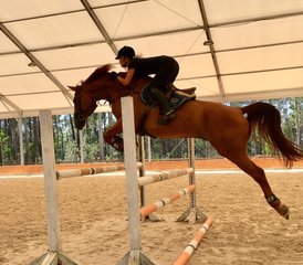 4 Tage Reiturlaub für Reiter der Mittelstufe und Fortgeschrittene in Apúlia e Fão, Portugal - Photo 2