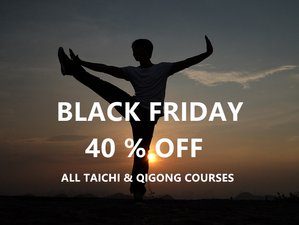 4 Week Self-Paced Online Taoist Qigong Course for Beginners with an Authentic Chinese Master