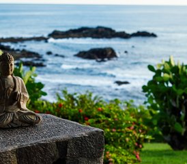 6 días de retiro de yoga y mindfulness a medida en Playa Azul, Guanacaste, Costa Rica - Photo 2