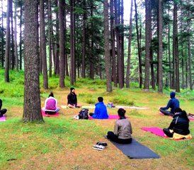 98 jours en voyage des sept chakras avec yoga, méditation, respiration et exercices dans l'Himalaya, Inde - Photo 1