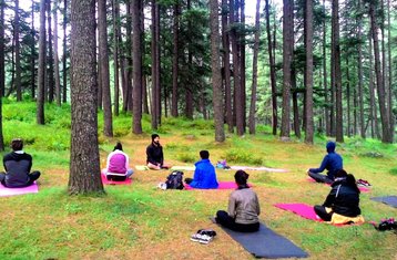 8 Day Seven Chakra Journey With Yoga, Meditation, Breath, and Bodywork in the Himalayas, India
