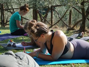 14 Tage 200-Stunden Intensive Vinyasa Yogalehrer Ausbildung mit Zertifikat in Südfrankreich