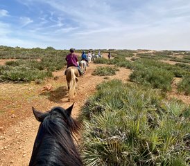 7 jours de randonnée équestre Cavalcade au cœur d’Essaouira au Maroc - Photo 3