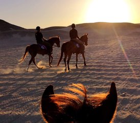 6 Tage Multi-Abenteuer-Reitmini-Urlaub in Ägypten - Photo 4