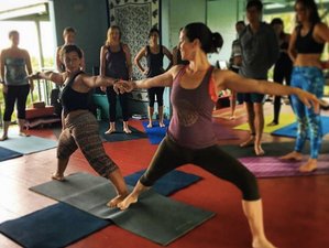 8 Day Meditation, Healing, and Yoga Holiday in Pahoa, Hawaii