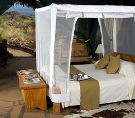 4-Daagse Safari Pakket vanaf Mombasa tot Taita Hills Salt Lick, Tsavo-West en Amboseli in Kenia - Photo 5