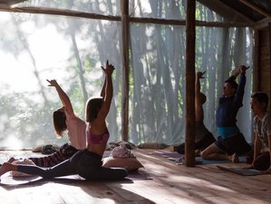 7 Day Detox Retreat with Yoga and Chi Kung in Manglaralto, Santa Elena