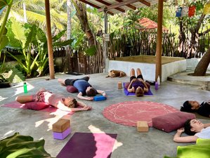 13 Day 100-Hour Yin and Yoga Nidra Teacher Training in Galle District, Sri Lanka