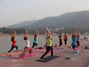 28 Days 200-hour Ashtanga Yoga Teacher Training in Rishikesh, India ...