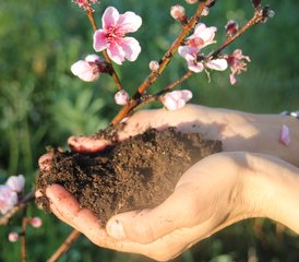 3 jours stage de yoga et de permaculture dans le soleil de l’algarve, Portugal - Photo 3