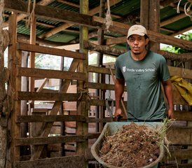 28 Days Certification Program - Equine Care Specialist in Cartago, Costa Rica - Photo 4