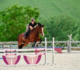 4 Day Long Weekend With Jumping and Flatwork Training Horse Riding Holiday in Fermo, Italy - Photo 4