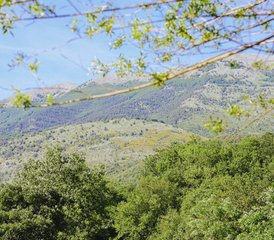 7 Tage Farm Reiki und Yoga Urlaub in Abruzzen Nationalpark, Italien - Photo 2