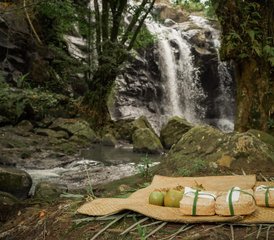 5 Day Luxury Tropical Rainforest, Yoga, and Wellness Retreat in Bali, Indonesia - Photo 2