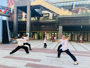 7 Tage Traditionelles Chinesisches Kampfkunsttraining für Taichi und Meihuaquan in Shanghai