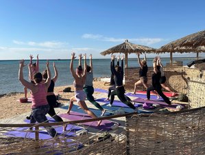 8 jours stage de yoga pour femmes à Soma Bay, Égypte