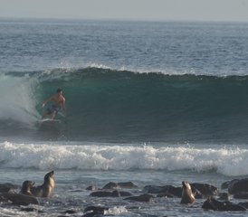 7 días de aventura de surf inolvidable para surfistas intermedios y avanzados en Galápagos, Ecuador - Photo 3