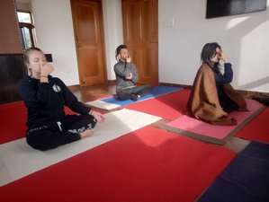 30 Day Drugs Recovery Wellness Detox Retreat in Dharmshala, India