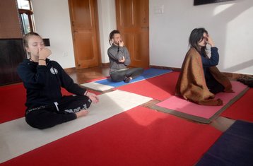 30 jours de nettoyage ayurvédique du corps et de clarté mentale en stage à Dharmshala, Inde