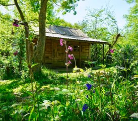 54 jours en retraite de Forrest Yoga et d’arts de guérison transformationnelle à Forest Garden, Sussex, Royaume-Uni - Photo 1