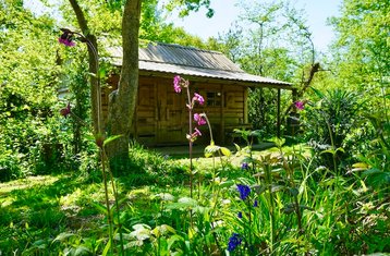 4 Day Forrest Yoga and Transformational Healing Arts Retreat in Forest Garden, Sussex, UK