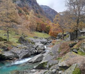 6 días de retiro explorativo de yoga en Vallemaggia, Ticino, Suiza - Photo 2