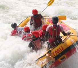 8 Tage Abenteuer-Safari in Uganda: Gorilla-Trekking und Nil-Rafting   - Photo 5