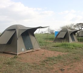 5-Daagse Kampeersafari in de Prachtige Serengeti en Ngorongoro Crater, Tanzania - Photo 4