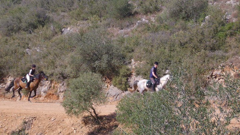 5 Day Tasting the Costa Brava Trail Horse Riding Holiday in Llabià, Girona