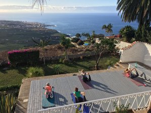 3 días de retiro: regula tu sistema nervioso con yoga y desconexión digital en Tenerife, España