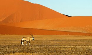 Parc national de Namib-Naukluft Retraites et Voyages