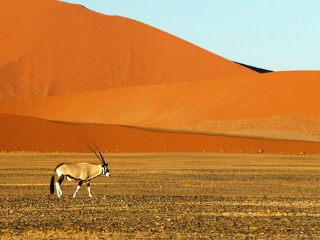 Parque Nacional Namib-Naukluft