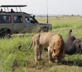 45 Day Best Kenya Safari at Masai Mara Game Reserve and Lake Nakuru and Amboseli National Parks - Photo 1
