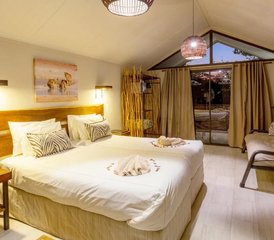 6 Tage Dünen- und Wildtiersafari: Etosha, Skelettküste und Sossusvlei in Namibia - Photo 4