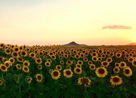 Konya Retreats & Trips