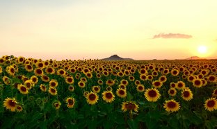 Konya Retreats und Reisen